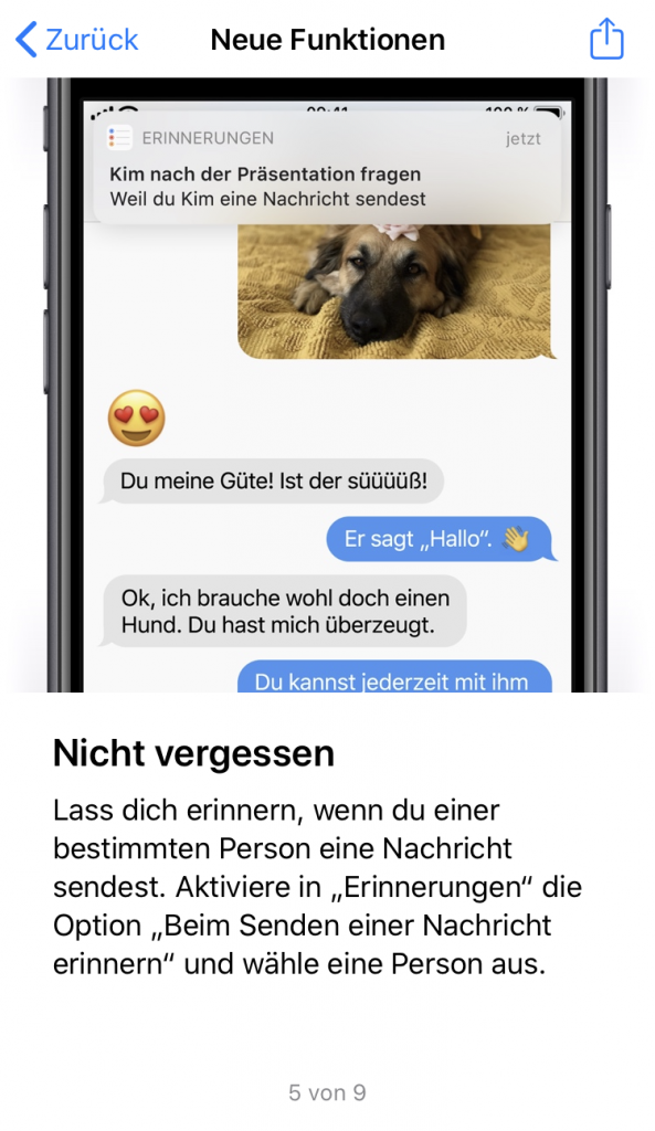 [22/05/2020] Jailbreak nutzt Zero-Day-Lücke wenige Tage nach Erscheinen von iOS 13.5 aus (7)