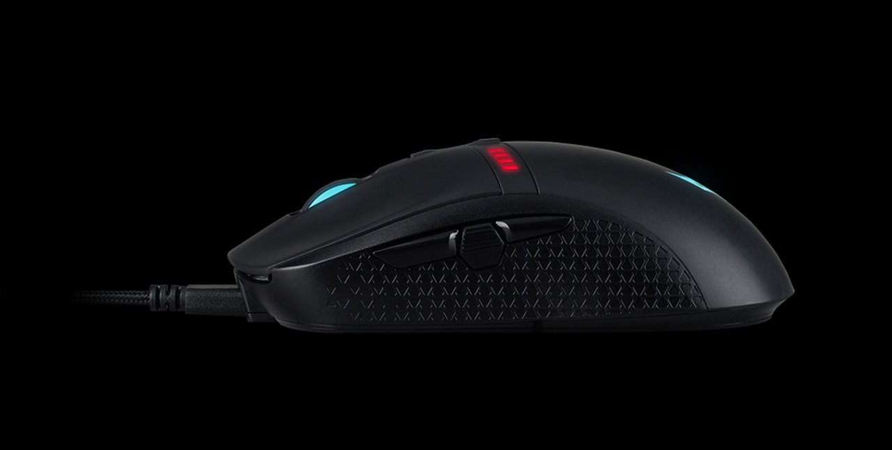 [22/06/2020] Predator Cestus 350 (1)