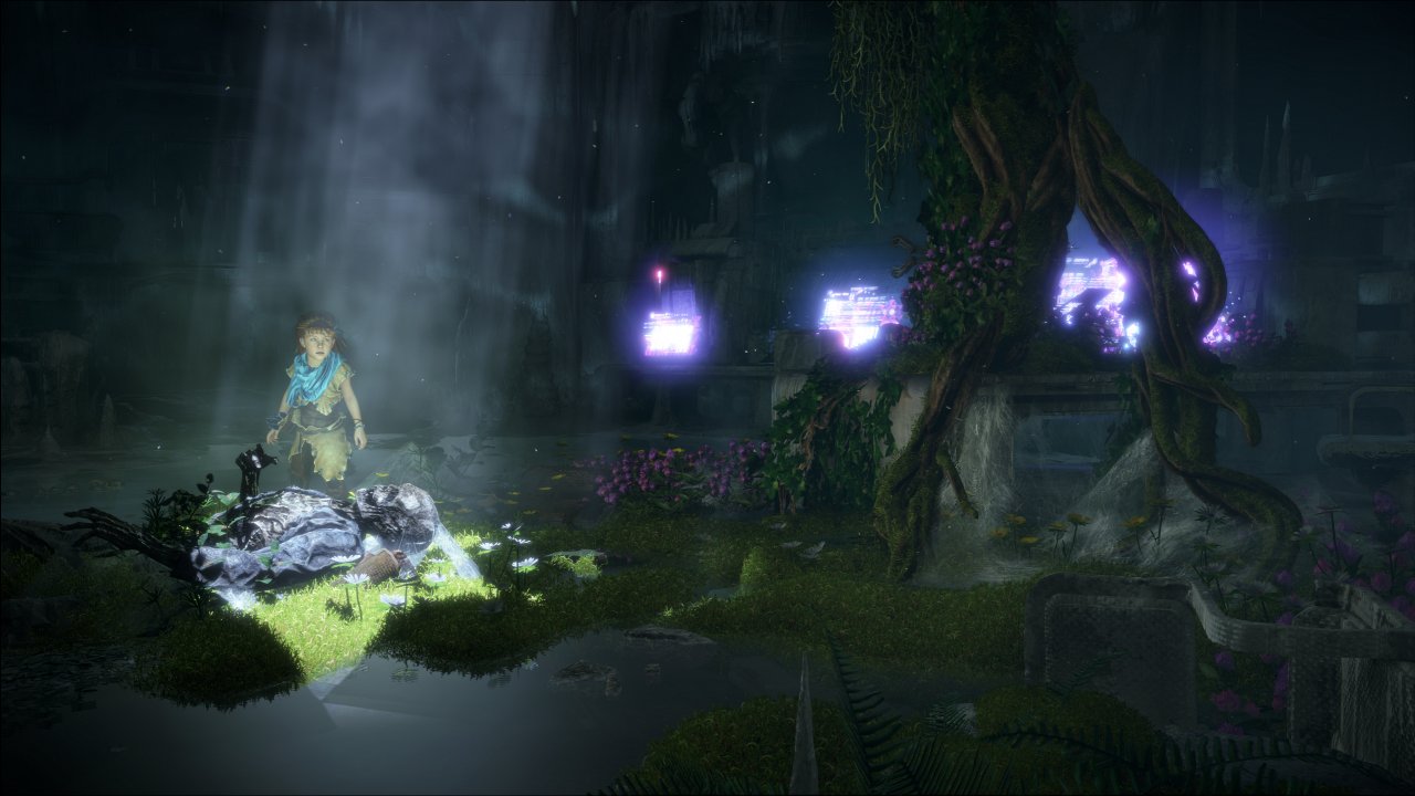 [31/07/2020] Horizon Zero Dawn PC (1)