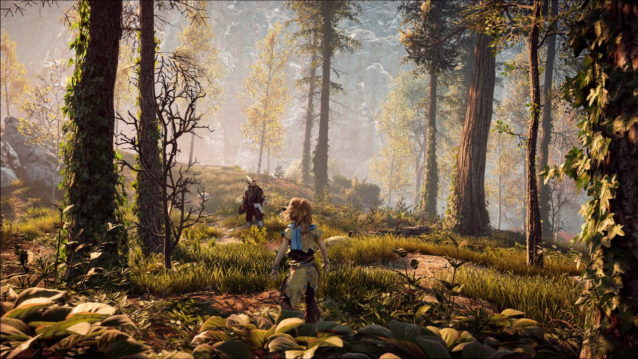 [31/07/2020] Horizon Zero Dawn PC (11)