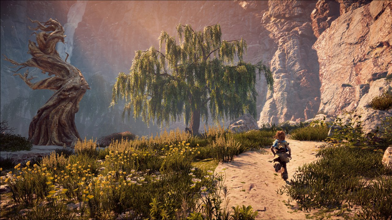 [31/07/2020] Horizon Zero Dawn PC (19)
