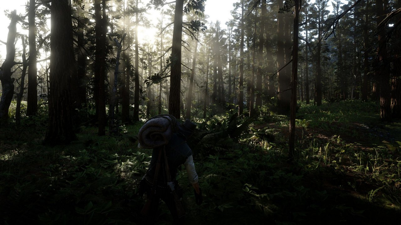 [18/07/2020] Read Dead Redemption 2 - Screenshot von Dedde