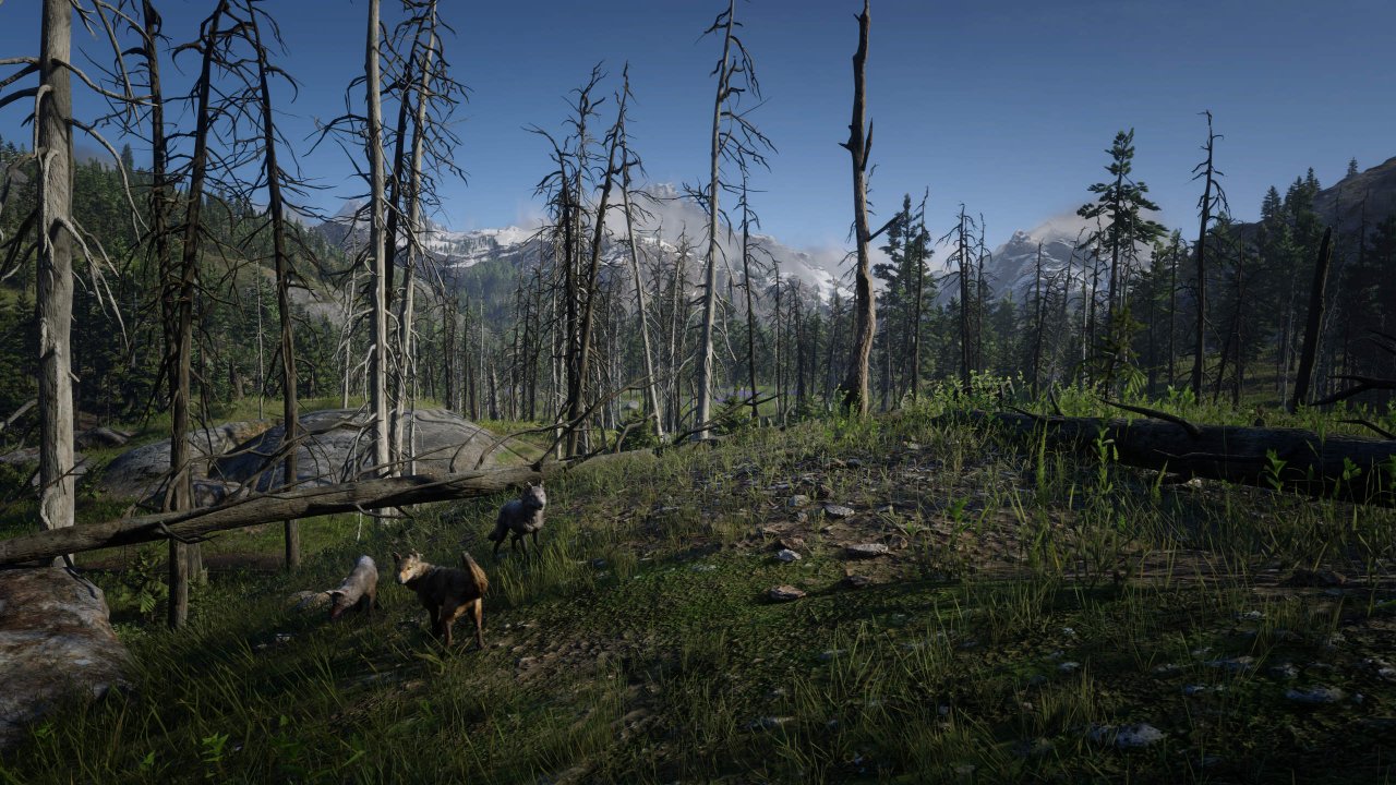 [18/09/2020] Red Dead Redemption 2
