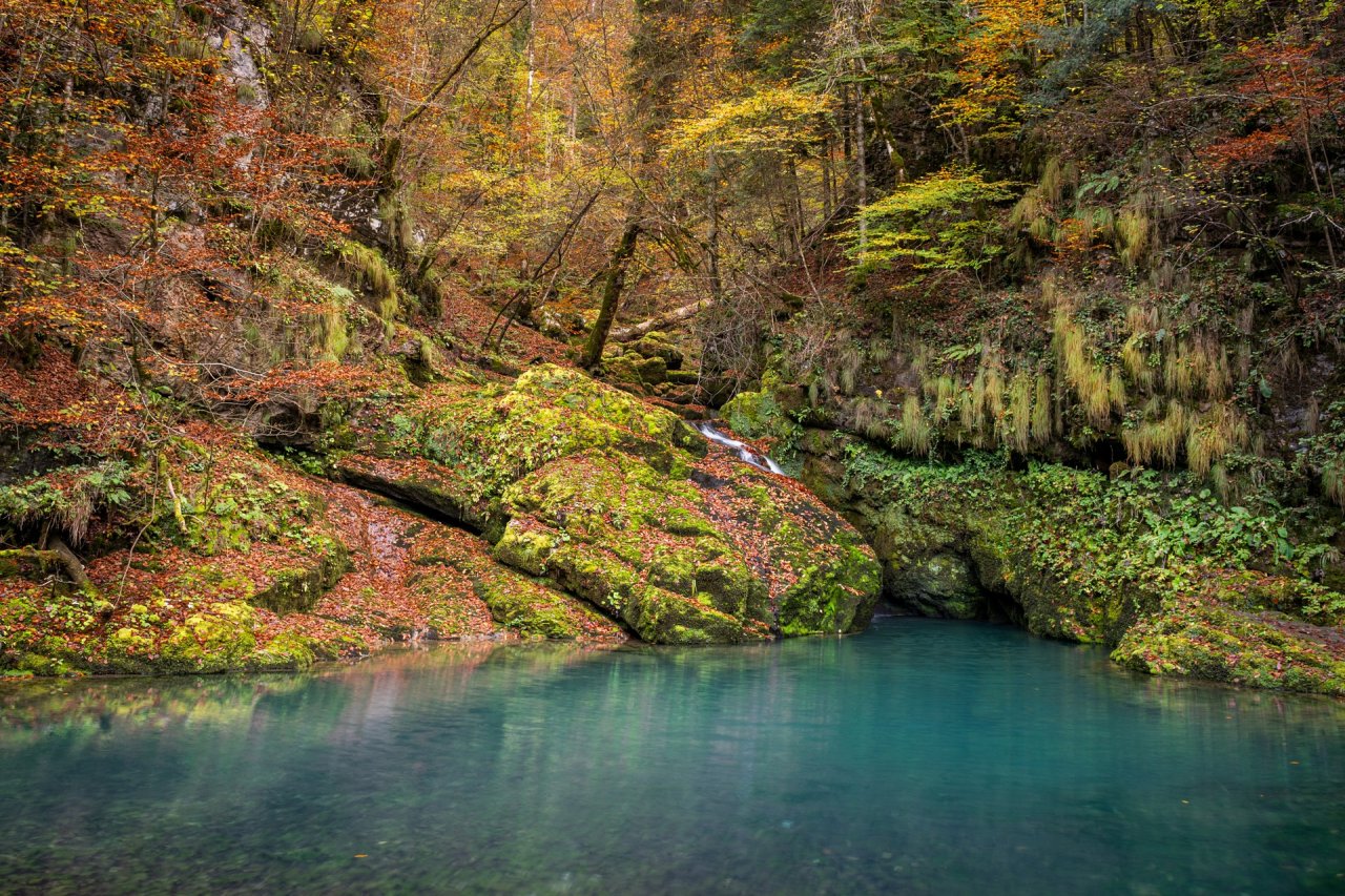 [17/10/2020] Update Oktober 2020: Foto von The_Rock