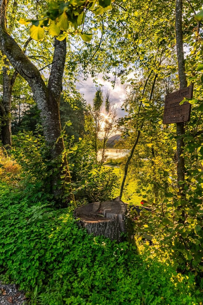 [17/10/2020] Update Oktober 2020: Foto von totovo