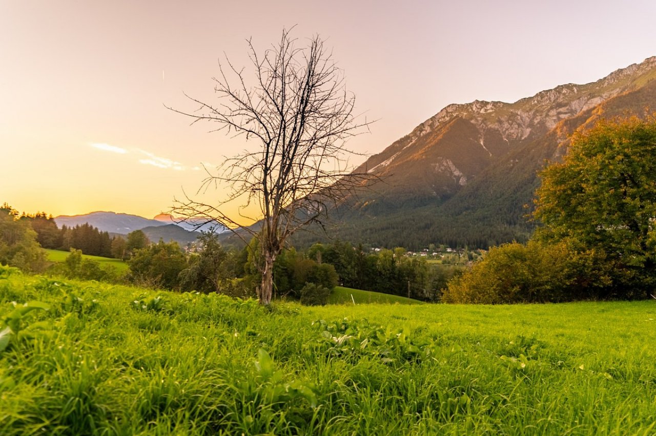 [17/10/2020] Update Oktober 2020: Foto von totovo