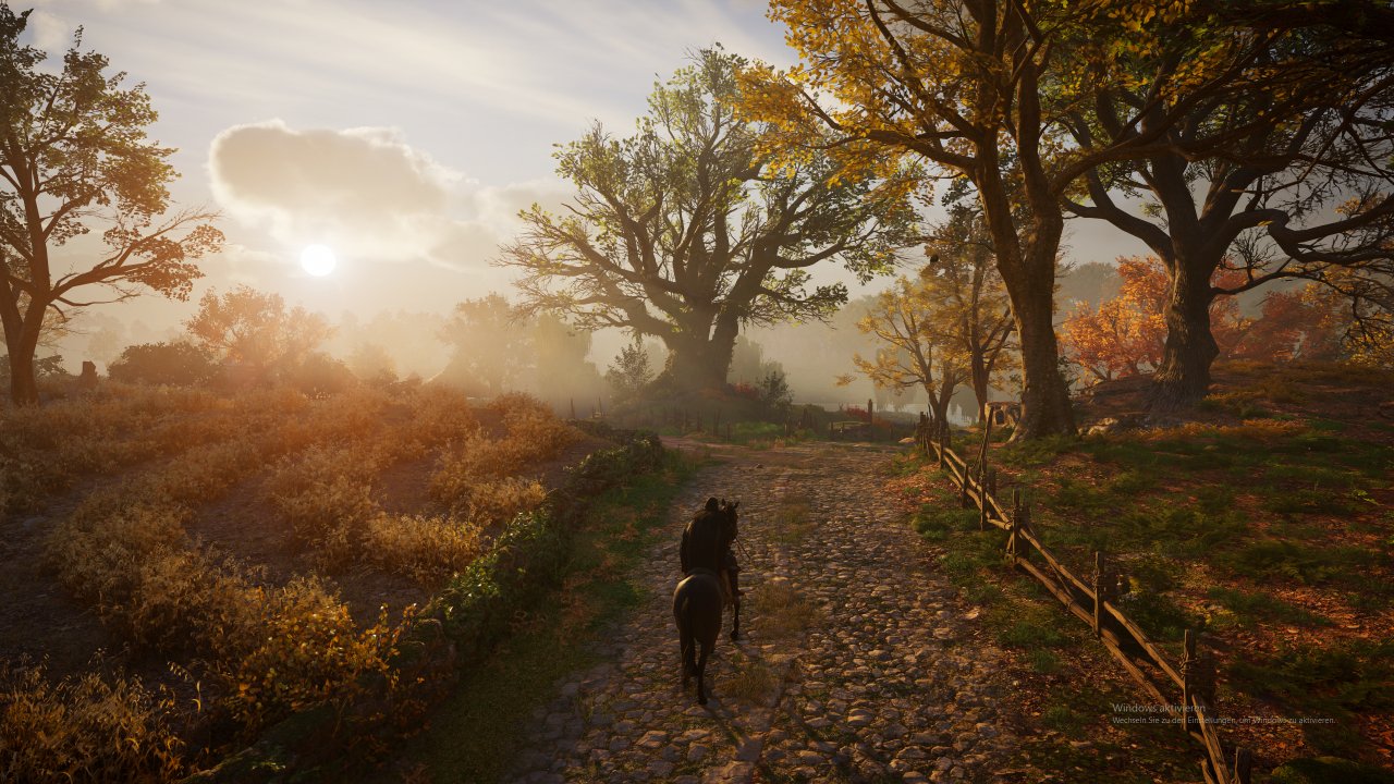 [09/11/2020] Assassin's Creed Valhalla (19)