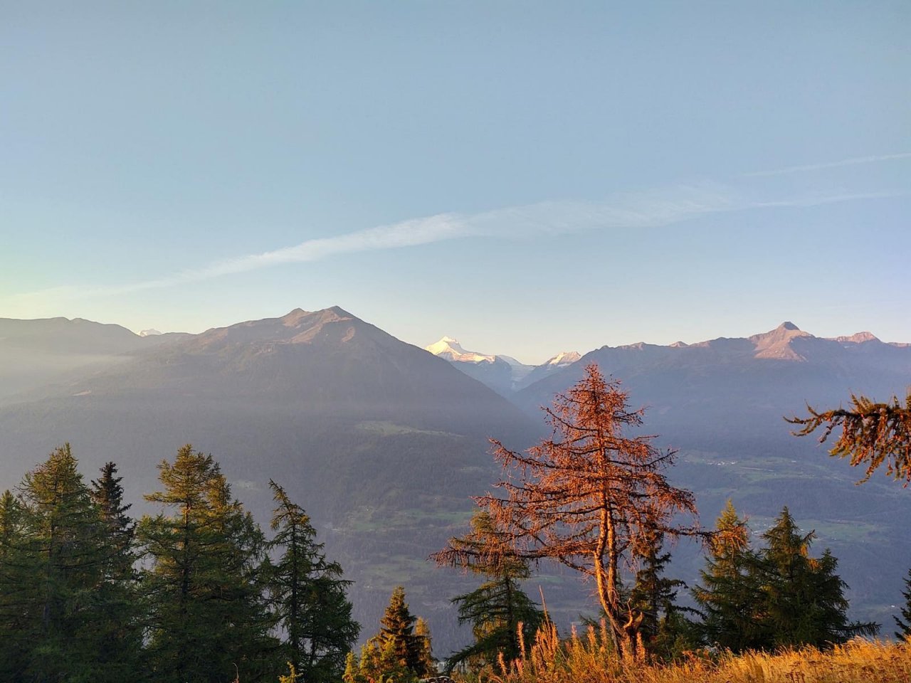 [08/12/2020] Update vom 19.12.2020: Foto von EyRaptor