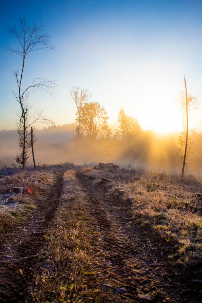 [08/12/2020] Update vom 19.12.2020: Foto von Bunkasan