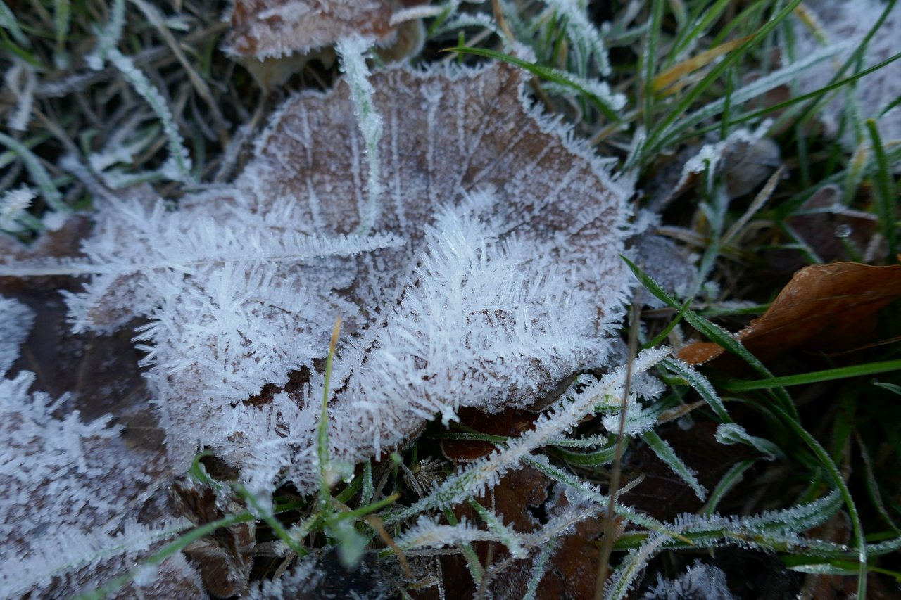 [06/02/2021] Update vom 07.02.2021: Foto von mattinator