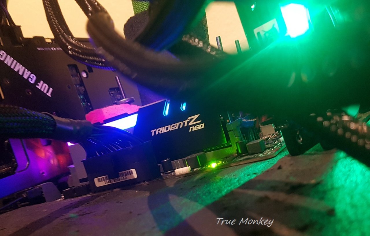 [21/02/2021] Update vom 21.02.2021: RAM von True Monkey