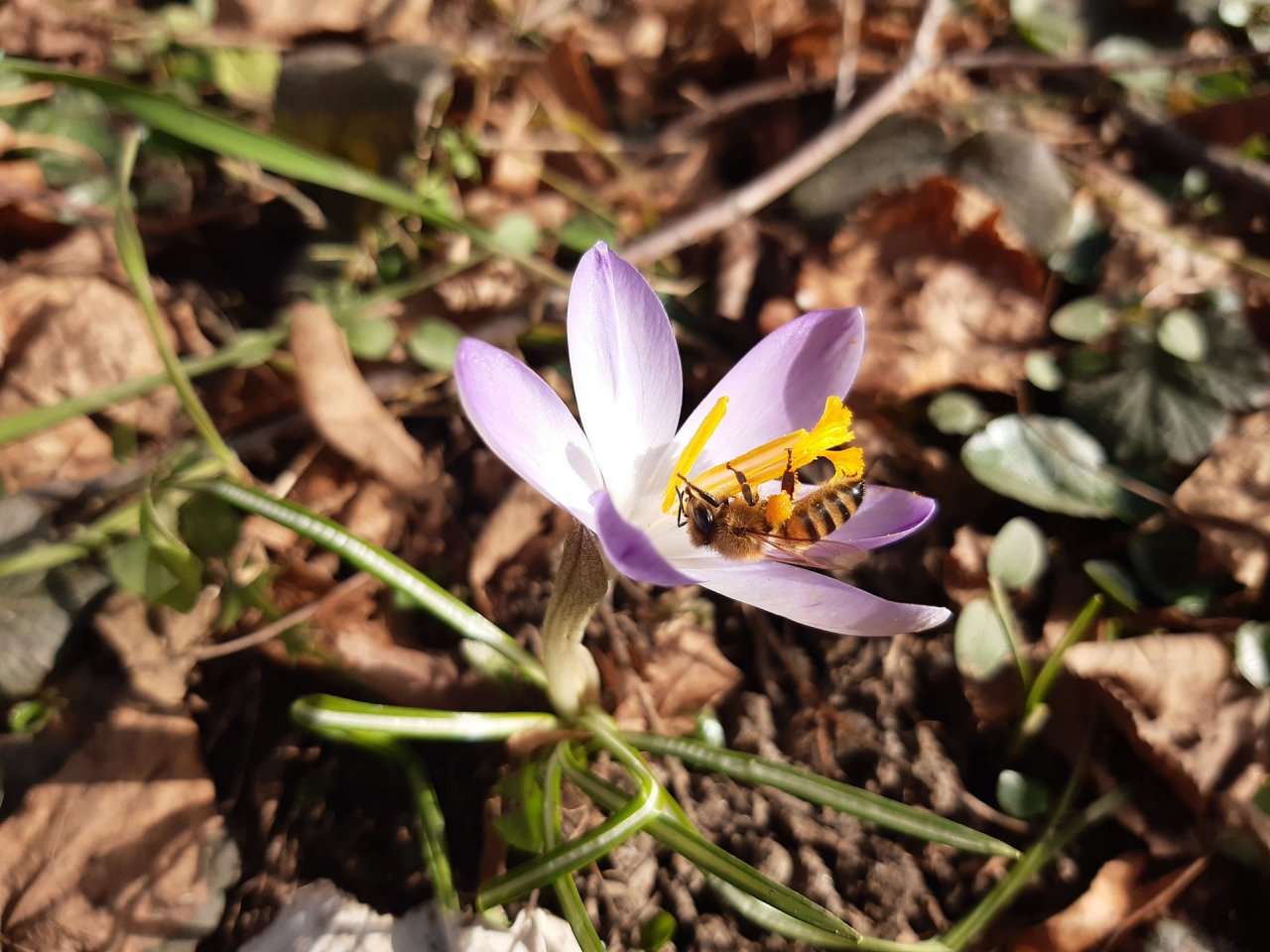 [27/03/2021] Update vom 27.03.2021: Foto von mattinator