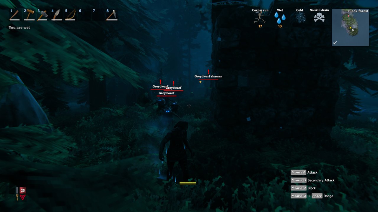 [03/03/2021] Valheim Early Access (25)