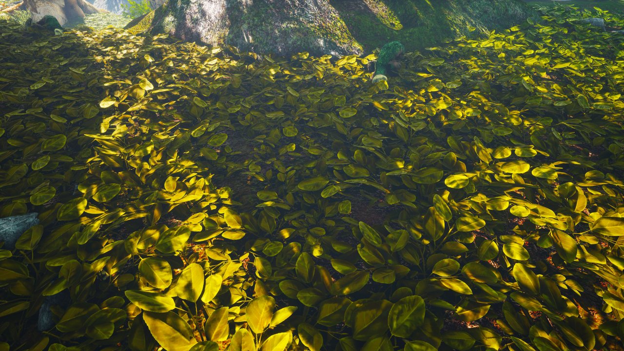 [25/05/2021] Biomutant UHD maxed und downsampled 105