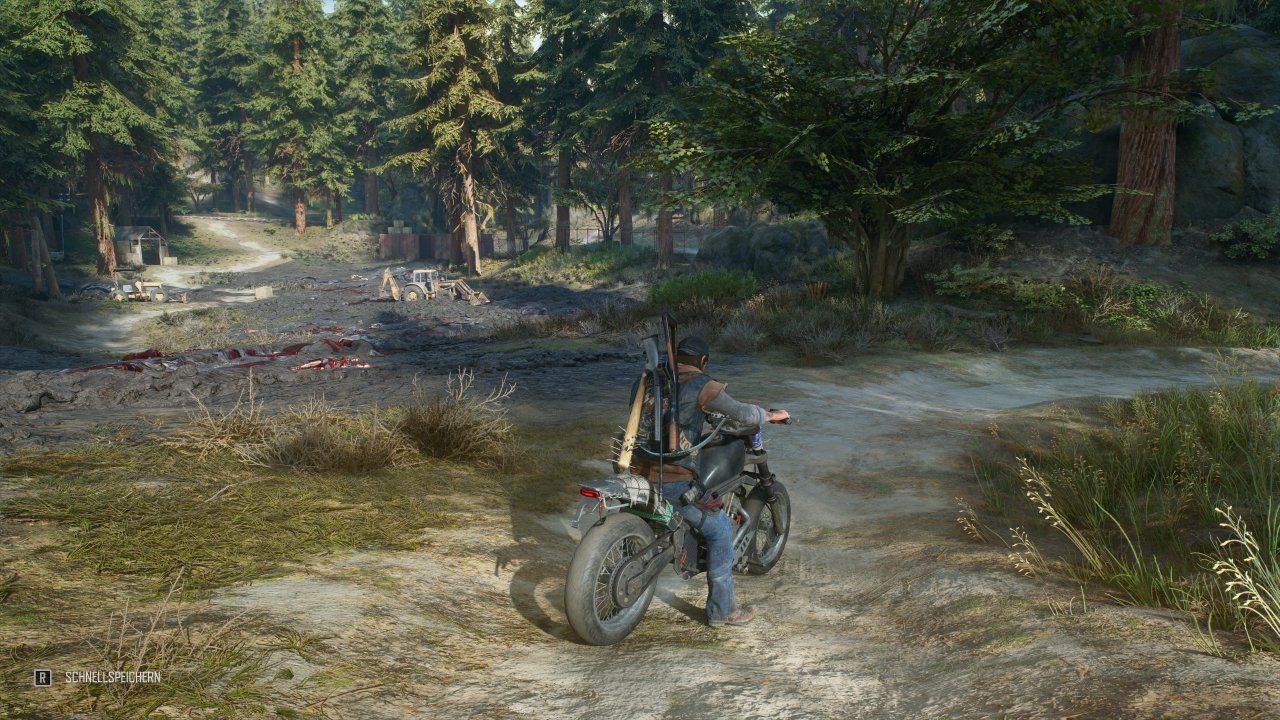 Days Gone - Field of View - 70