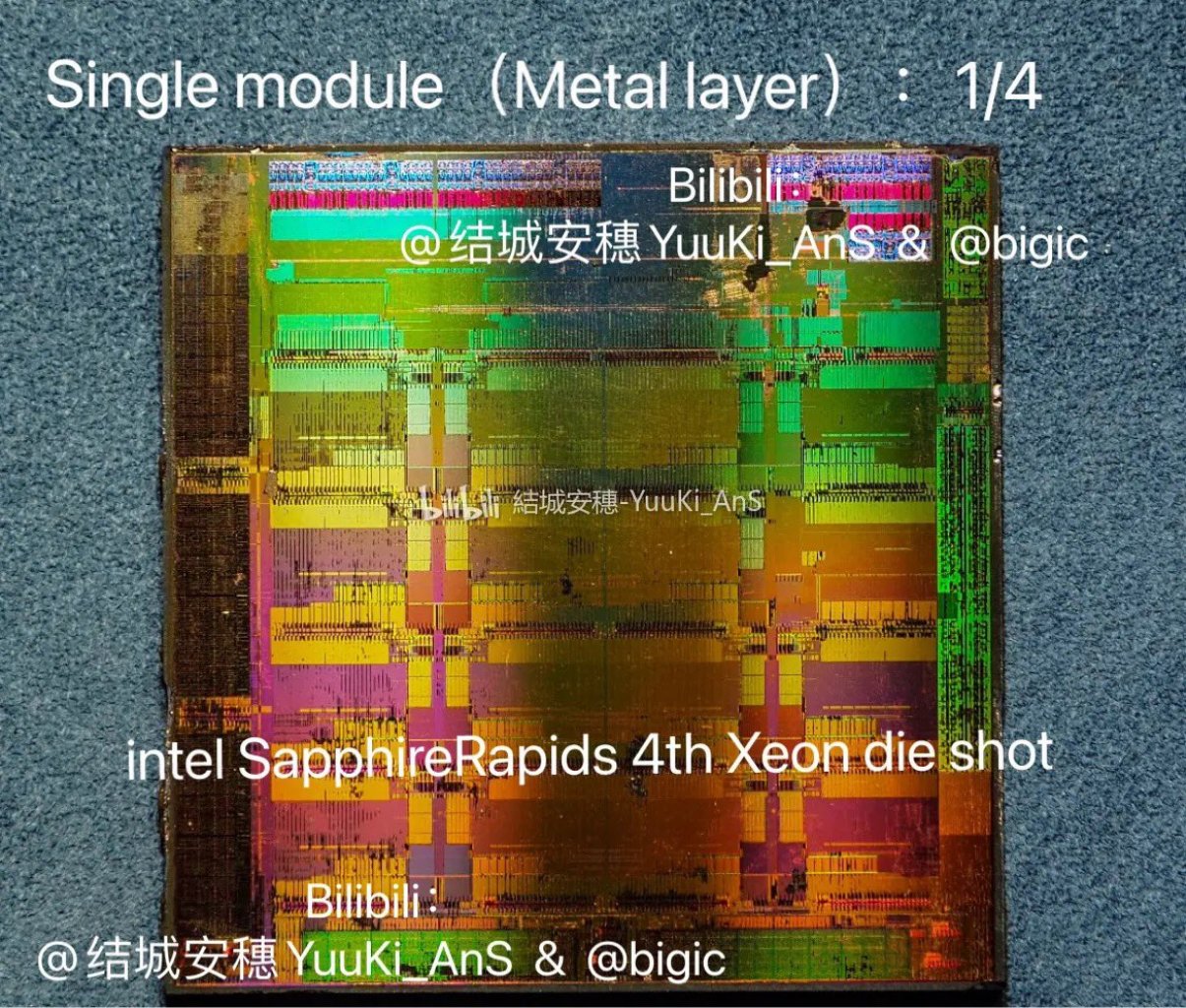 [14/06/2021] Sapphire Rapids: Die Shots der MCM-Module&nbsp; (6)