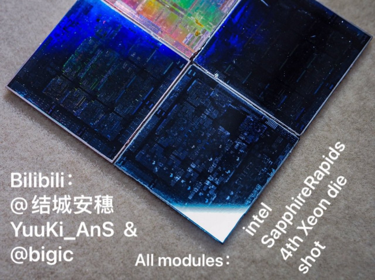 [14/06/2021] Sapphire Rapids: Die Shots der MCM-Module&nbsp; (7)