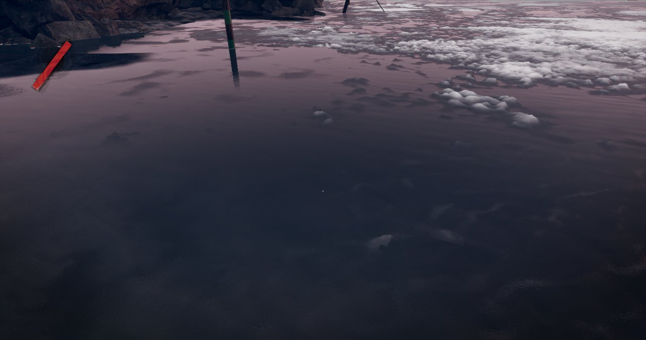 SSR aus dem Bild gewischt