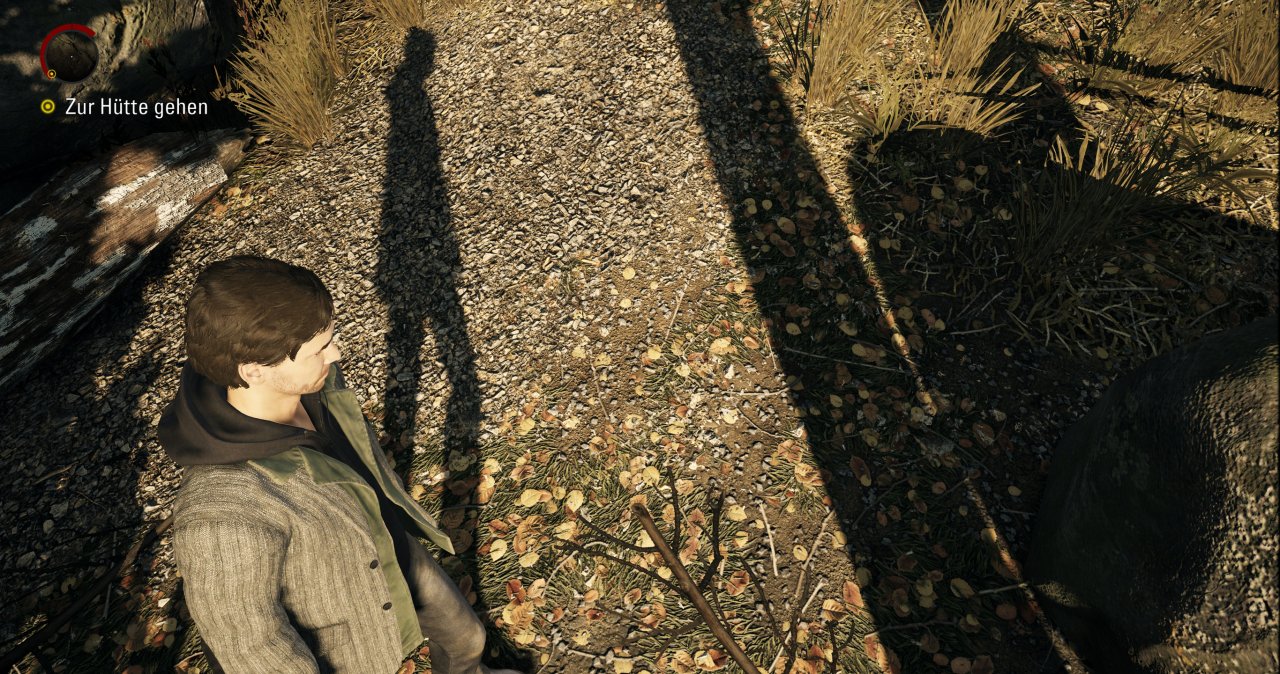 [03/10/2021] Alan Wake Remastered (PC) im Technik-Test (Bilder: DCI 4K maxed & Lanczos-downsampled @ 1440p) #9