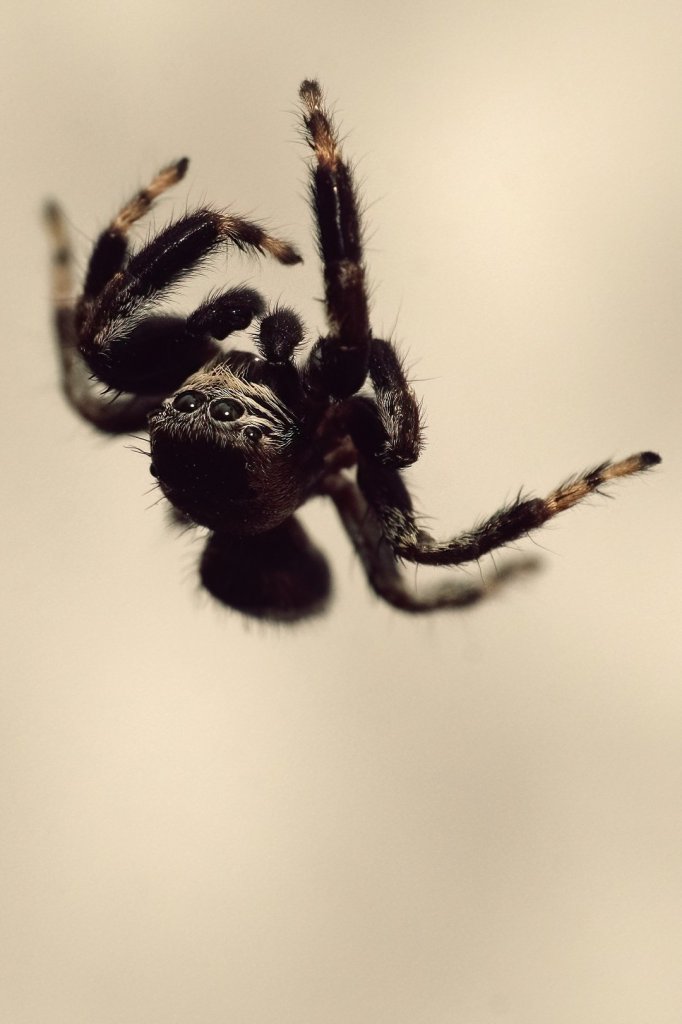 [25/10/2021] Update vom 25.10.2021: Foto von JackA