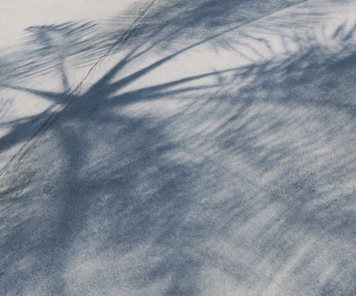 Battlefield 2042 Shadows DLSS Q