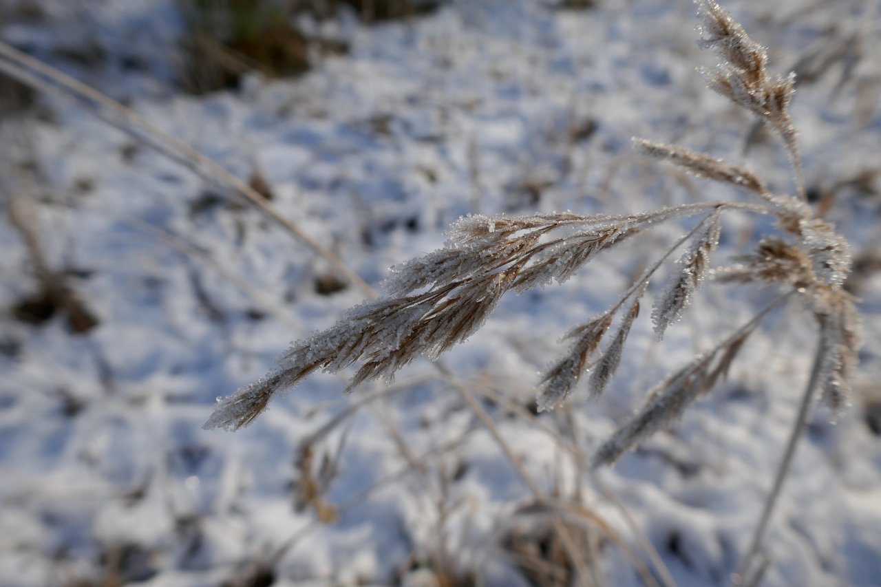 [25/12/2021] Update vom 25.12.2021: Foto von mattinator