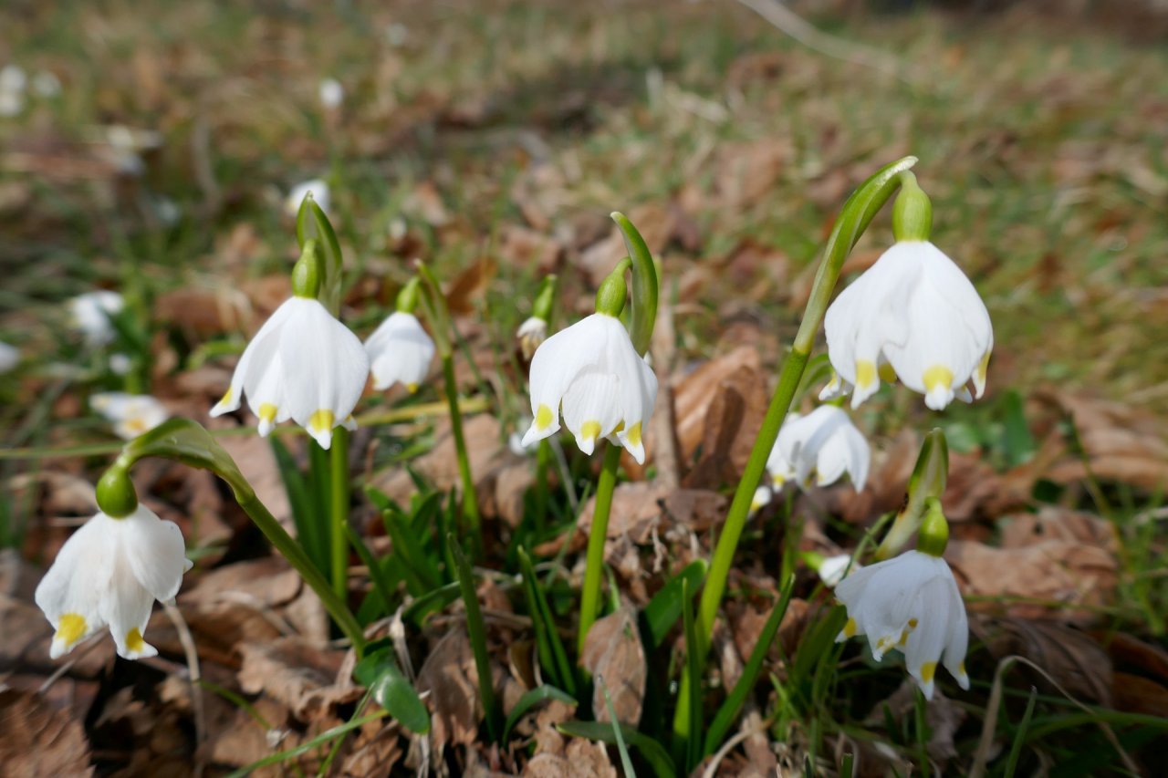 [04/04/2022] Update vom 04.04.2022: Foto von mattinator