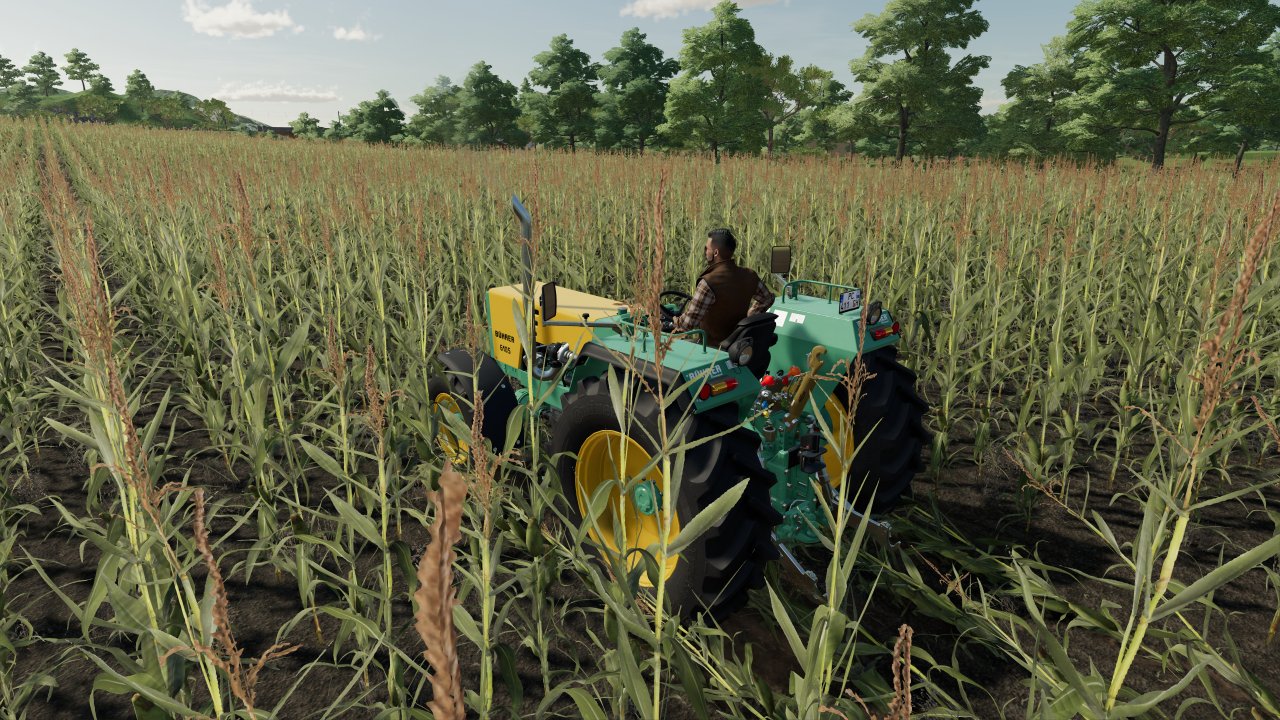 [01/07/2022] Landwirtschafts-Simulator 22 (1)