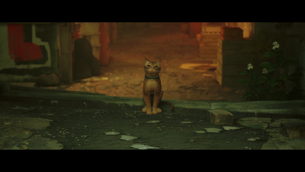 [24/07/2022] Stray PC (Bilder: UHD mit spieleigenen Post-Sharpening, downsampled @ 1440p) 8