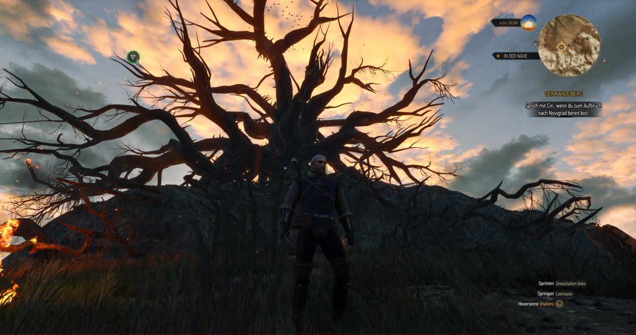 [04/07/2022] CD Projekt Red wird 20: The Witcher 3 erneut auf dem Prüfstand (20)