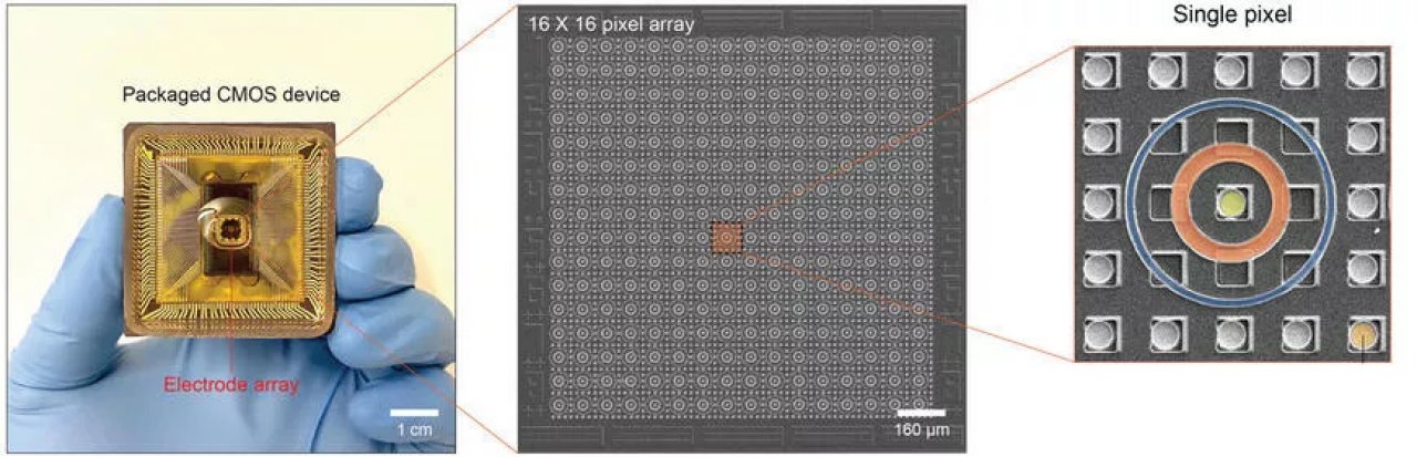 [06/10/2022] Ein CMOS-Chip (rechts) mit Array (Mitte) mit Hunderten einzelnen Ionentransistoren (rechts).