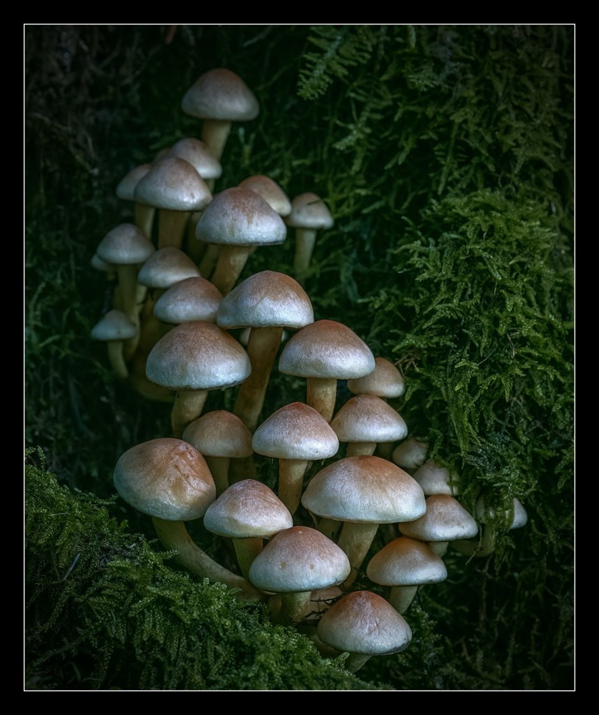 [09/12/2022] Update vom 10.12.2022: Foto von BlackFog