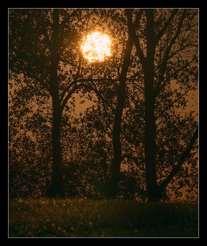 [09/12/2022] Update vom 10.12.2022: Foto von BlackFog