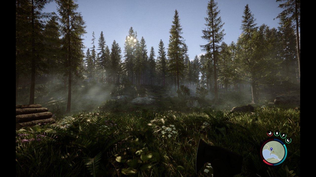 Sons of the Forest 16:10