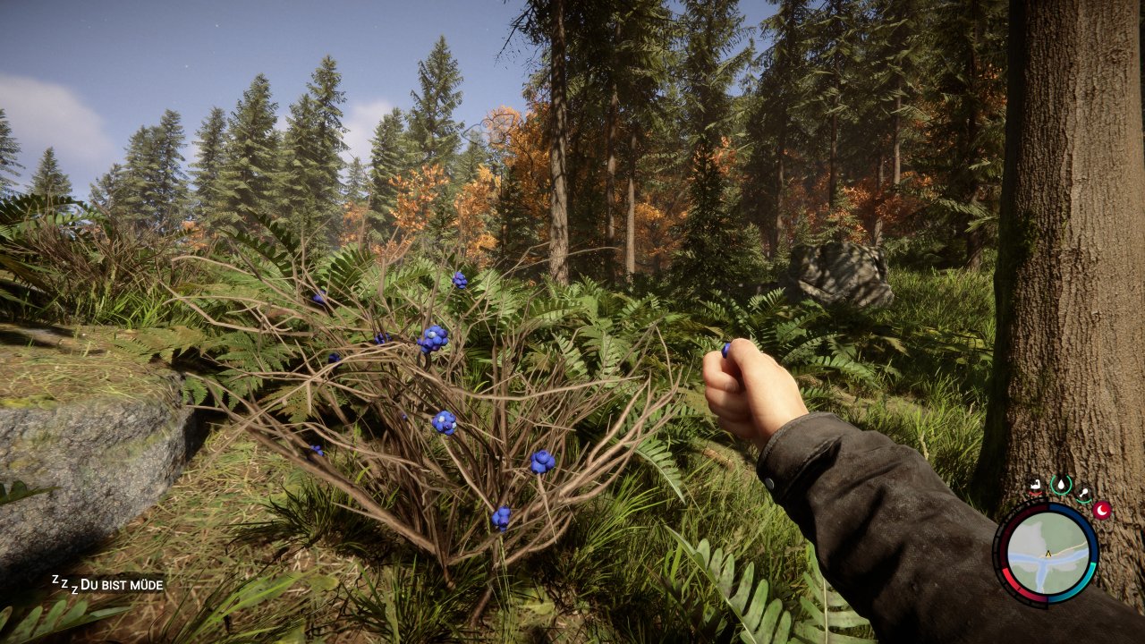 [28/02/2023] Sons of the Forest - Early Access (6)