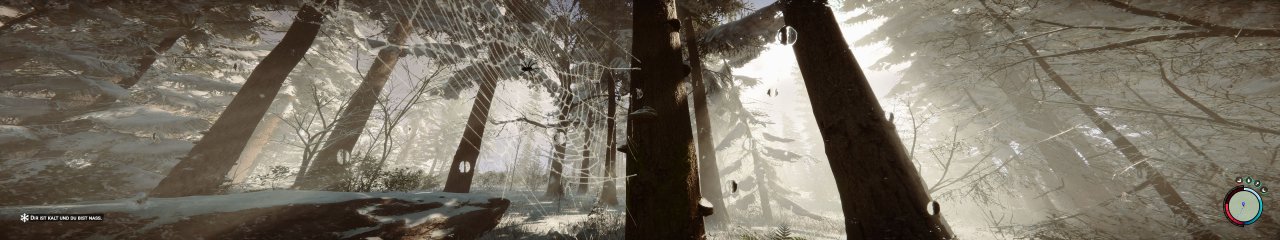 [16/03/2023] SonsOfTheForest 2023 03 03 20 23 43