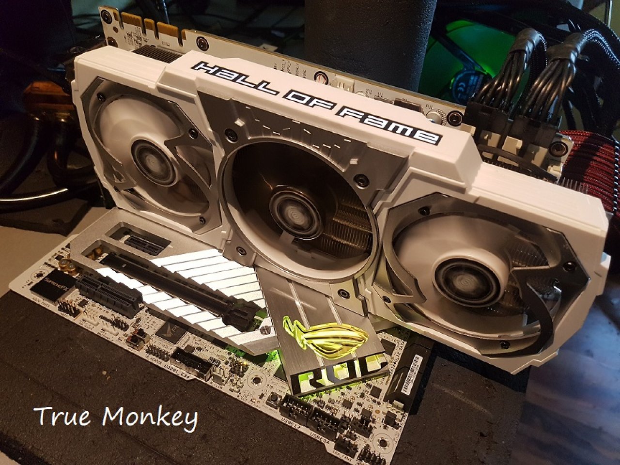 [06/04/2023] GTX 970 HOF von True Monkey&nbsp;