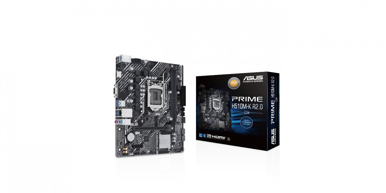 [28/05/2023] Asus plant 