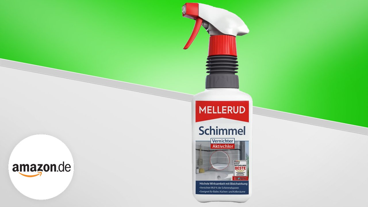 [13/05/2023] Schimmel entfernen: Besser gleich auf den Bestseller Nr. 1 bei Amazon setzen