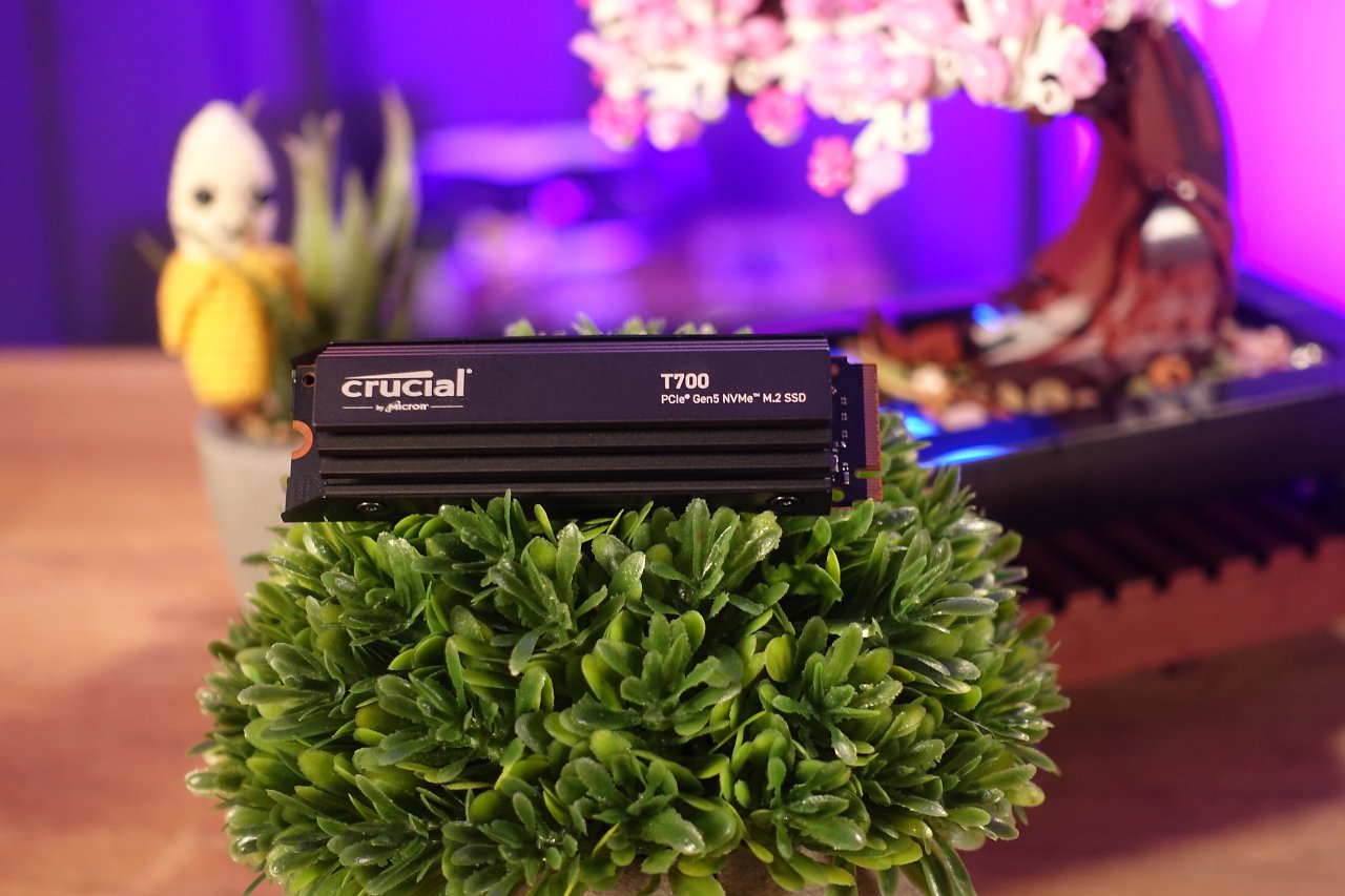 Eine Crucial-SSD liegt hübsch präsentiert auf einem grünen Büschchen. Im Hintergrund sieht man eine lustige Stoffbanane.