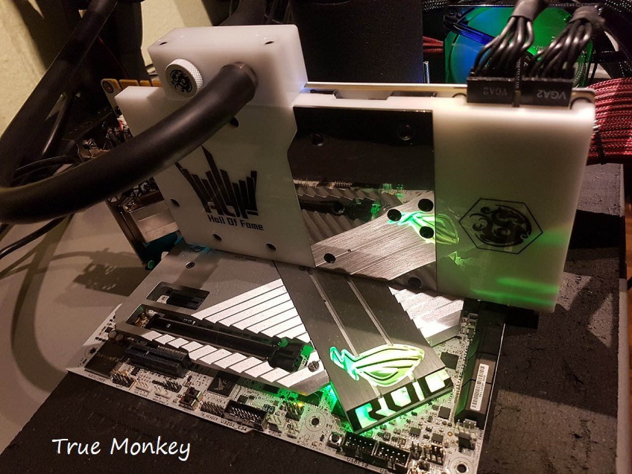 [15/06/2023] Noch eine Galaxy HOF von True Monkey (2)