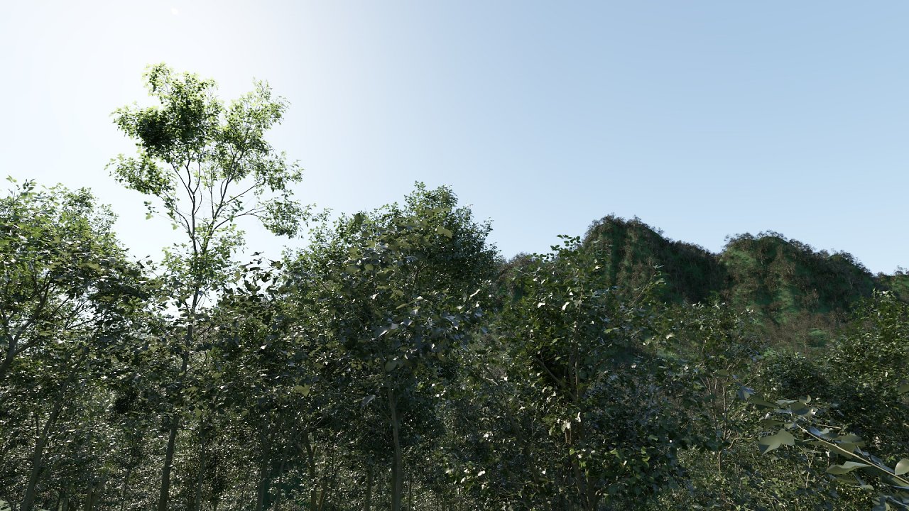 [05/07/2023] Wald-Rendering mit 1 Billion Dreiecken.