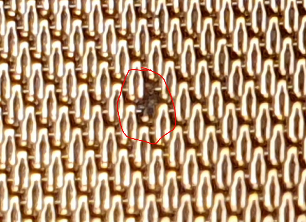 Defekter AM5-Sockel: Detailaufnahme 1