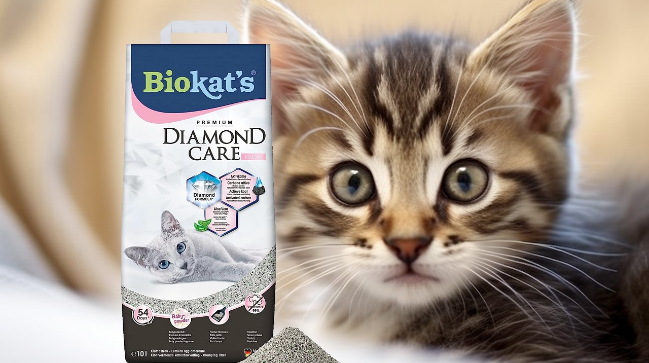 [21/08/2023] Katzen lieben dieses Katzenstreu: Top-bewerteter Amazon-Bestseller mit Babypuder-Duft zum Rabattpreis