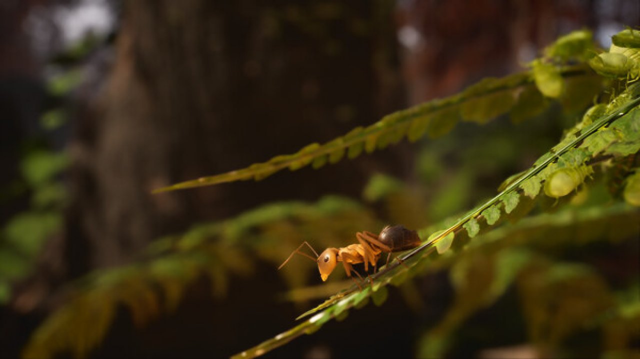 [15/10/2023] Empire of the Ants: 