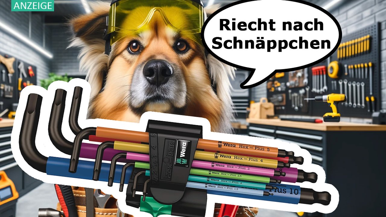 [26/10/2023] Preis halbiert! Wera Winkelschlüsselsatz mit abriebfester Griffkennzeichnung bei Amazon im Angebot