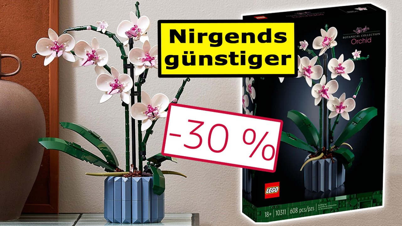 [08/12/2023] Diese Blume verwelkt nie: Lego Icons Orchidee als Weihnachtsgeschenk stürmt Bestseller-Liste