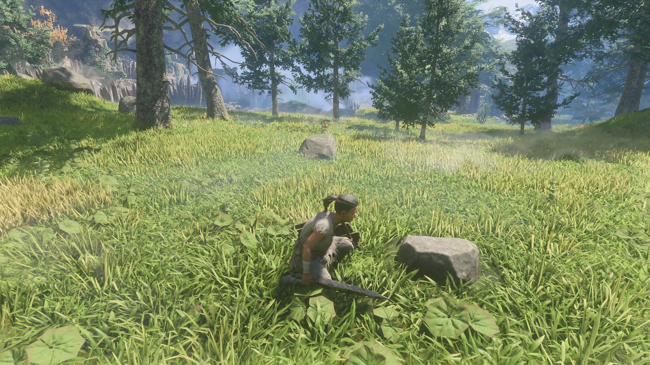 [25/01/2024] Enshrouded Early Access – Nettes Detail: Das Gras wächst dynamisch nach. Wenn wir diesen Stein aufklauben, ...