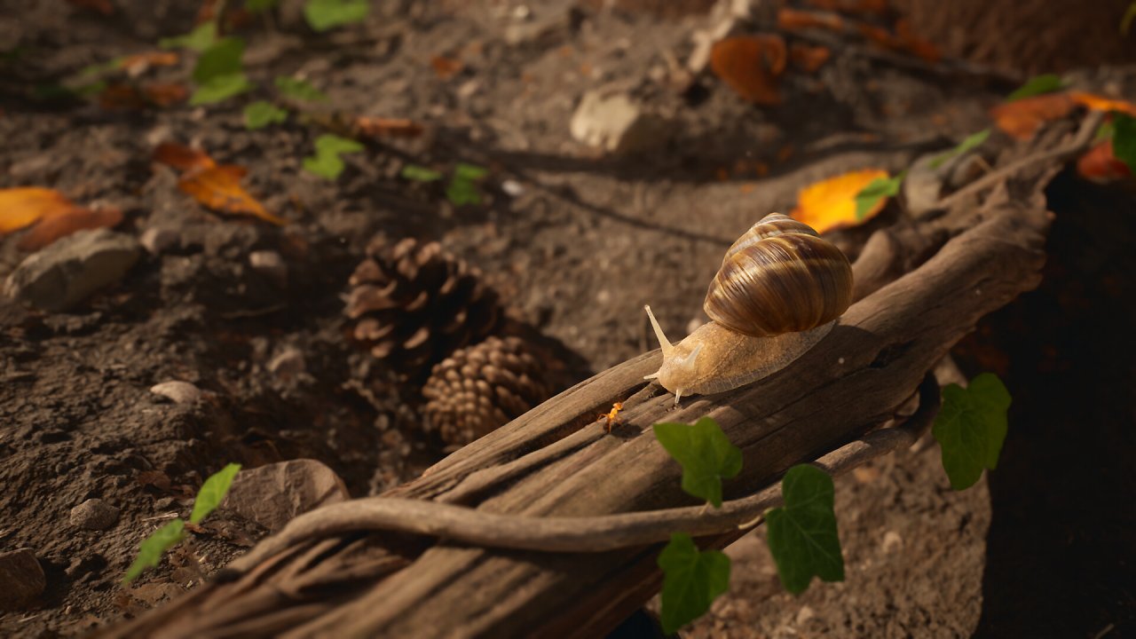 [15/03/2024] Unreal Engine 5: Die beeindruckende Welt von Empire of the Ants (3)