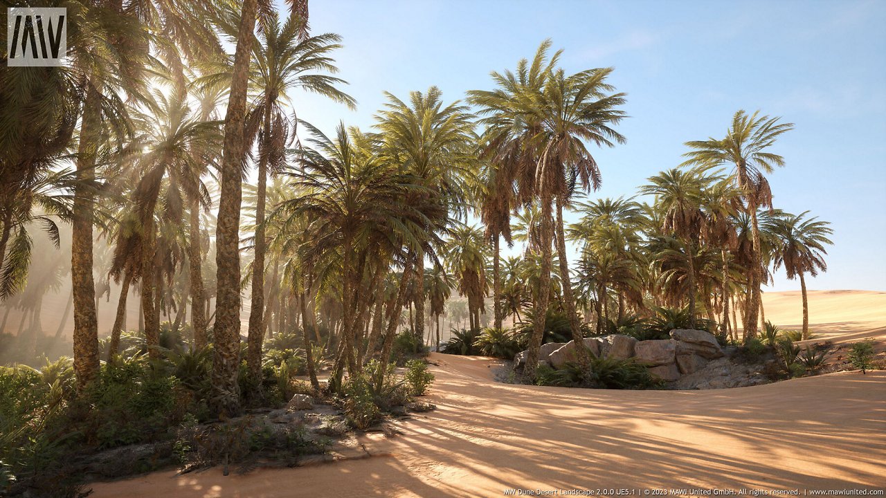 [01/03/2024] MW Dune Desert Landscape Runtime Demo (9)